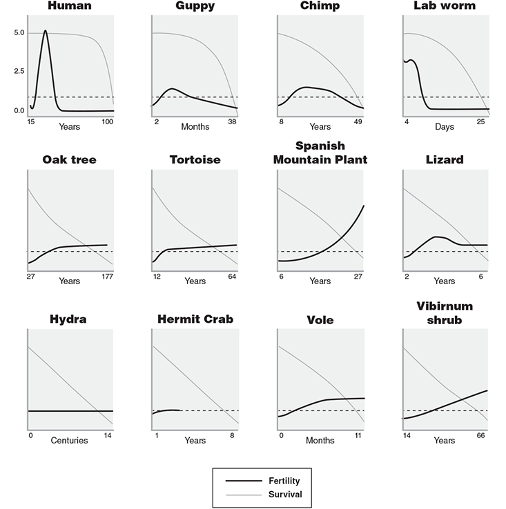 Grafici variabilità invecchiamento